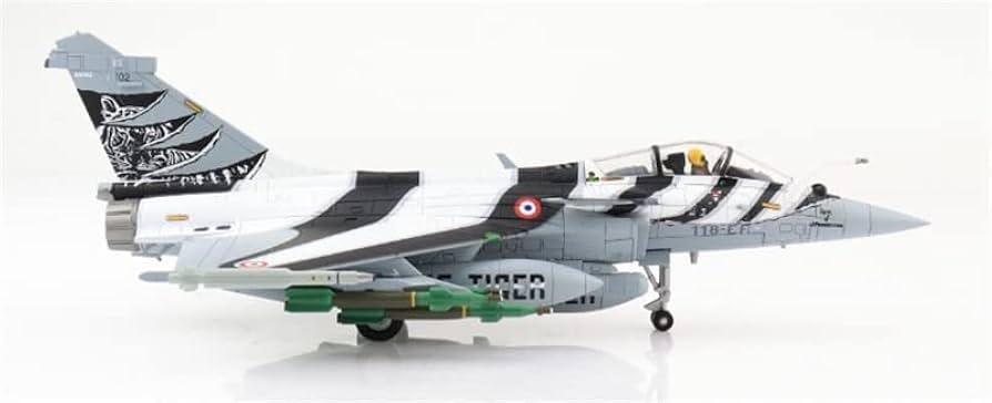その他 Rafale Multirole Combat Fighter 1/72 その他 Rafale Multirole Combat Fighter 1/72 Hobby Master 1